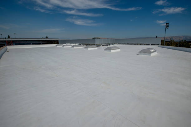 Best Rubber Roofing (EPDM, TPO)  in Dix Hills, NY