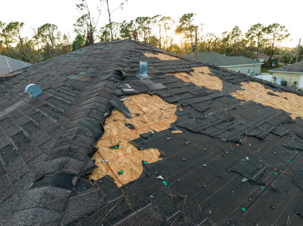 Best Roof Ventilation Installation  in Dix Hills, NY